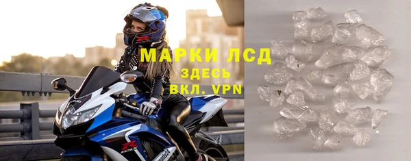 шишки Абаза