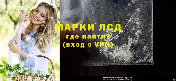 шишки Абаза