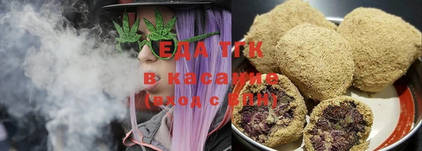 шишки Абаза