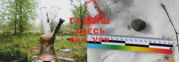 шишки Абаза